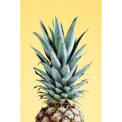 Pineapple Yellow 03 Gold Ornate Wood Framed Art Print with Double Matting by 1x Studio III