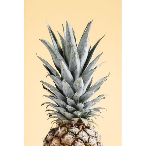 Pineapple Yellow 04 White Modern Wood Framed Art Print by 1x Studio III