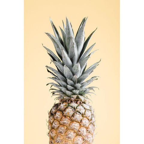 Pineapple Yellow 05 Black Modern Wood Framed Art Print with Double Matting by 1x Studio III