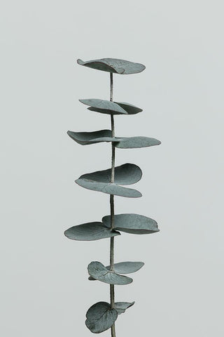 Eucalyptus Natural 09 Black Ornate Wood Framed Art Print with Double Matting by 1x Studio III