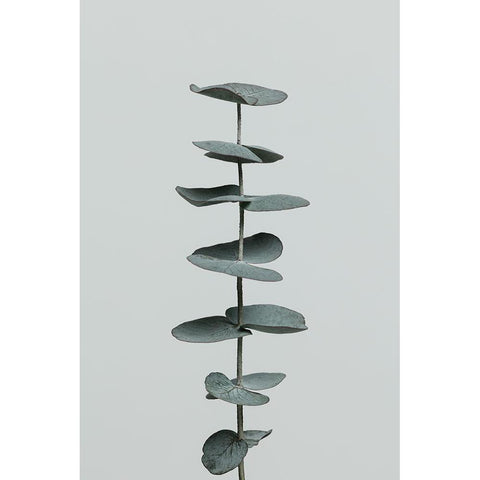 Eucalyptus Natural 09 Black Modern Wood Framed Art Print by 1x Studio III