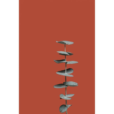 Eucalyptus Rust 01 Black Modern Wood Framed Art Print by 1x Studio III