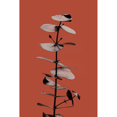 Eucalyptus Rust 02 Black Modern Wood Framed Art Print with Double Matting by 1x Studio III