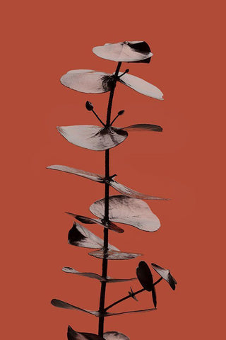 Eucalyptus Rust 02 Black Ornate Wood Framed Art Print with Double Matting by 1x Studio III