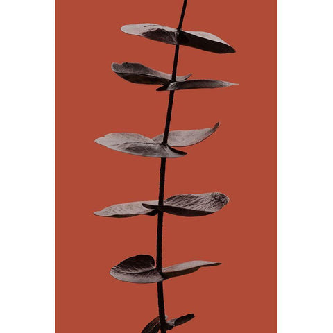 Eucalyptus Rust 03 Black Modern Wood Framed Art Print by 1x Studio III