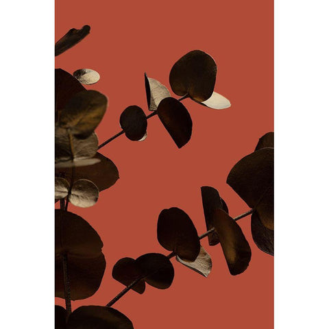 Eucalyptus Gold Rust 02 Black Modern Wood Framed Art Print with Double Matting by 1x Studio III