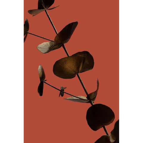 Eucalyptus Gold Rust 03 Black Modern Wood Framed Art Print with Double Matting by 1x Studio III