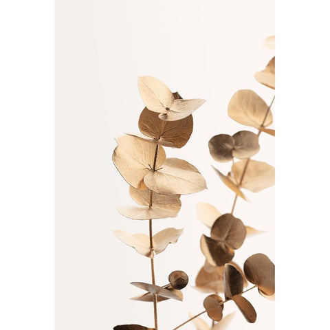 Eucalyptus Gold No 01 White Modern Wood Framed Art Print by 1x Studio III