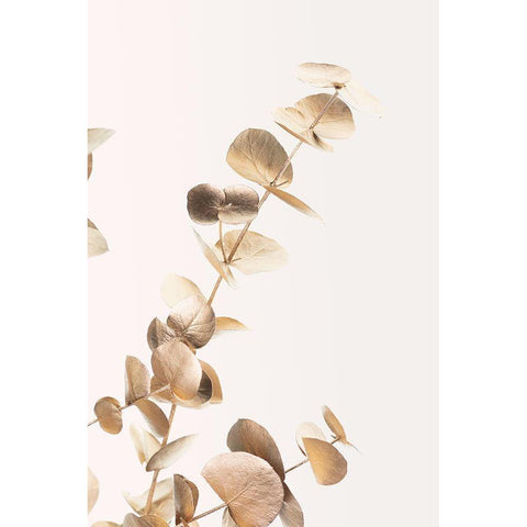 Eucalyptus Gold No 03 White Modern Wood Framed Art Print by 1x Studio III