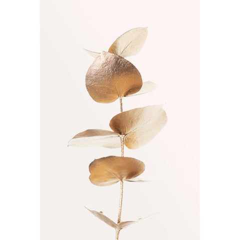 Eucalyptus Gold No 06 White Modern Wood Framed Art Print by 1x Studio III