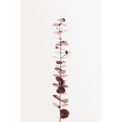 Eucalyptus Copper No 01 White Modern Wood Framed Art Print by 1x Studio III