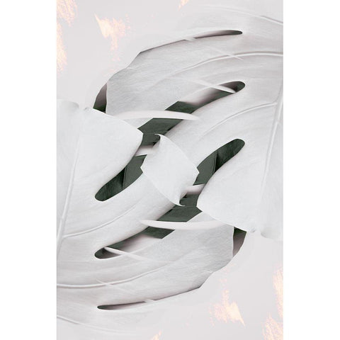 Monstera White 02 Black Modern Wood Framed Art Print with Double Matting by 1x Studio III