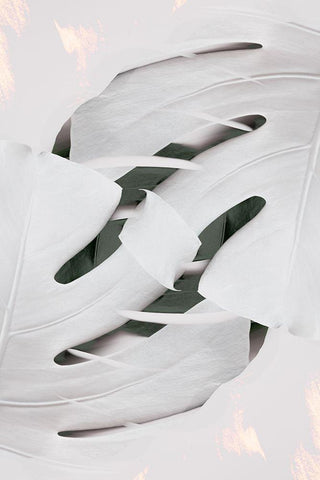 Monstera White 02 Black Ornate Wood Framed Art Print with Double Matting by 1x Studio III