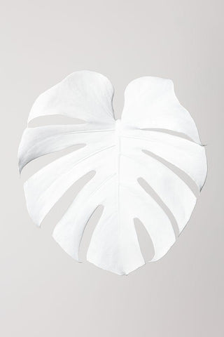 Monstera White 03 White Modern Wood Framed Art Print with Double Matting by 1x Studio III