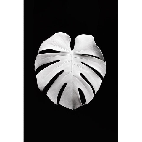 Monstera White 04 White Modern Wood Framed Art Print by 1x Studio III