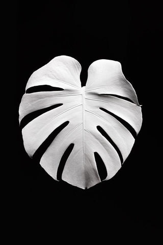 Monstera White 04 White Modern Wood Framed Art Print with Double Matting by 1x Studio III