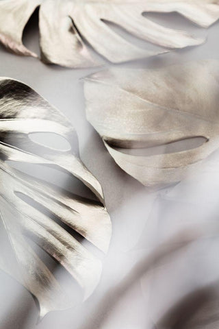 Monstera Gold 02 White Modern Wood Framed Art Print with Double Matting by 1x Studio III