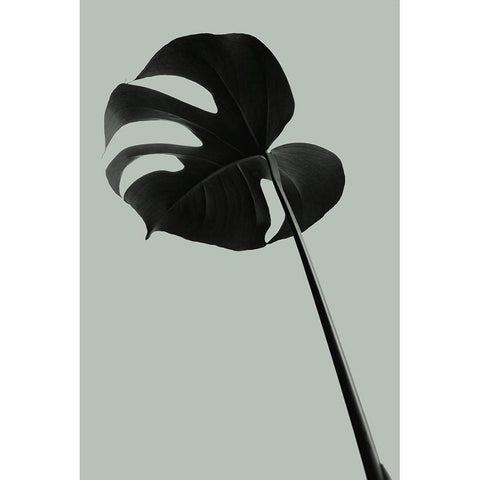 Monstera Teal 06 Black Modern Wood Framed Art Print with Double Matting by 1x Studio III