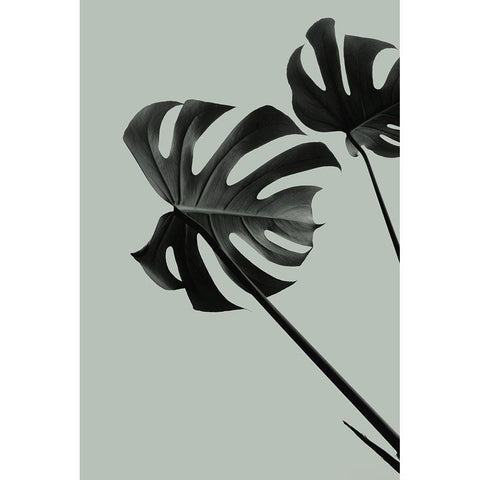 Monstera Teal 09 Black Modern Wood Framed Art Print by 1x Studio III