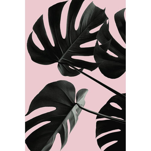 Monstera Pink No 01 Black Modern Wood Framed Art Print by 1x Studio III
