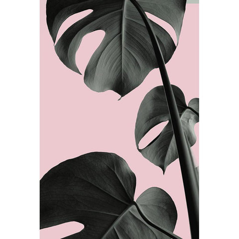 Monstera Pink No 03 Gold Ornate Wood Framed Art Print with Double Matting by 1x Studio III