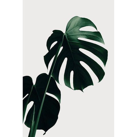 Monstera Natural 03 Black Modern Wood Framed Art Print by 1x Studio III