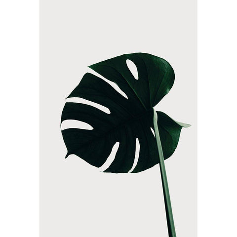 Monstera Natural 04 Black Modern Wood Framed Art Print by 1x Studio III