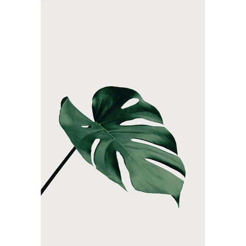 Monstera Natural 05 Black Modern Wood Framed Art Print by 1x Studio III