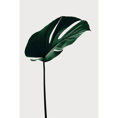 Monstera Natural 14 Gold Ornate Wood Framed Art Print with Double Matting by 1x Studio III