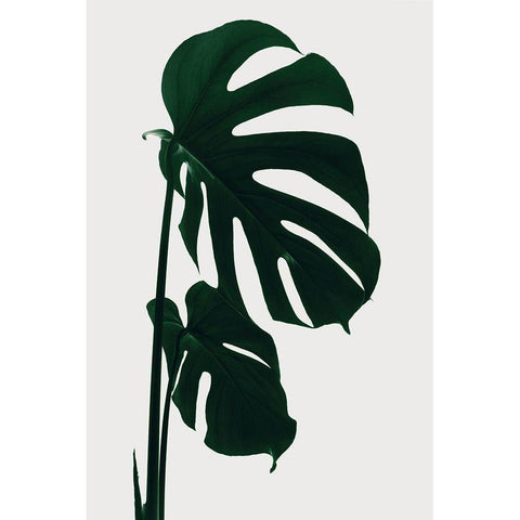 Monstera Natural 15 Black Modern Wood Framed Art Print by 1x Studio III