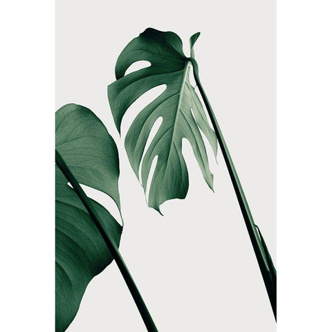 Monstera Natural 17 White Modern Wood Framed Art Print by 1x Studio III