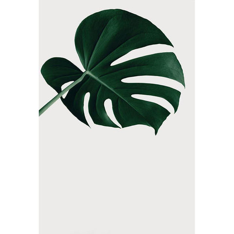 Monstera Natural 19 White Modern Wood Framed Art Print by 1x Studio III