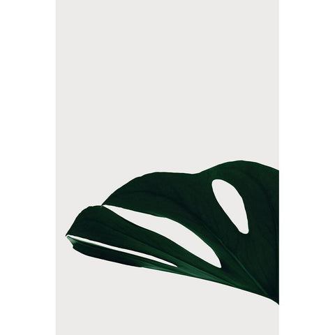 Monstera Natural 21 Gold Ornate Wood Framed Art Print with Double Matting by 1x Studio III