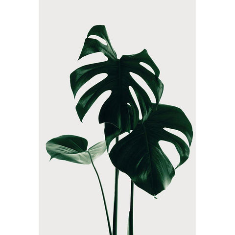 Monstera Natural 29 Gold Ornate Wood Framed Art Print with Double Matting by 1x Studio III