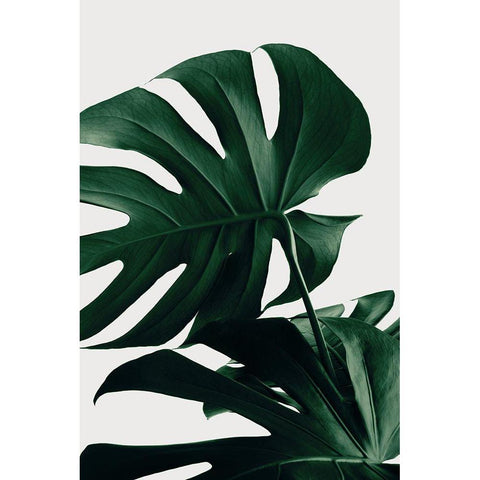 Monstera Natural 34 Black Modern Wood Framed Art Print by 1x Studio III