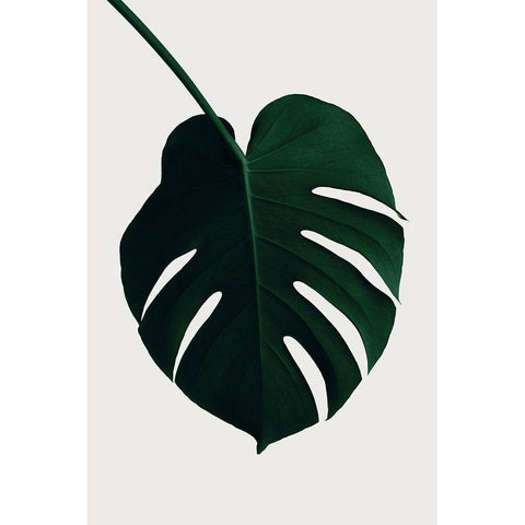 Monstera Natural 35 Gold Ornate Wood Framed Art Print with Double Matting by 1x Studio III