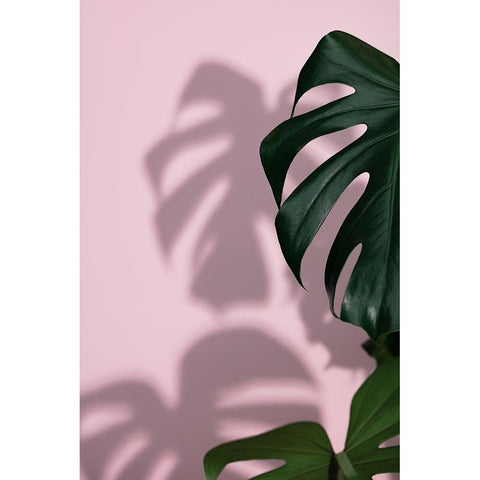 Monstera Pink 09 White Modern Wood Framed Art Print by 1x Studio III