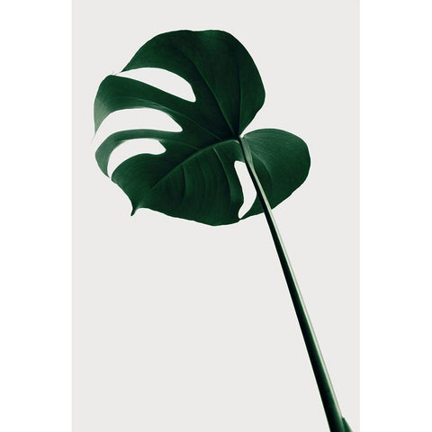 Monstera Natural 40 Black Modern Wood Framed Art Print by 1x Studio III