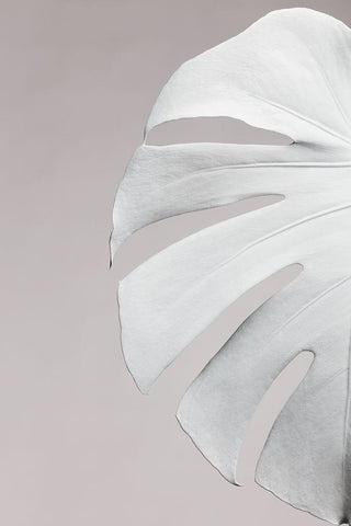 Monstera White 05 Black Ornate Wood Framed Art Print with Double Matting by 1x Studio III