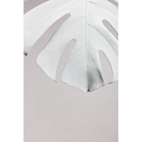 Monstera White 06 Black Modern Wood Framed Art Print with Double Matting by 1x Studio III