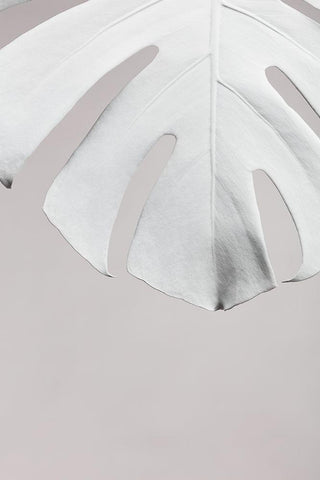 Monstera White 06 Black Ornate Wood Framed Art Print with Double Matting by 1x Studio III