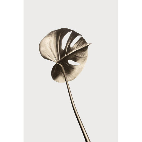 Monstera Gold 06 Black Modern Wood Framed Art Print by 1x Studio III