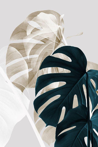 Monstera Creative 05 Black Ornate Wood Framed Art Print with Double Matting by 1x Studio III