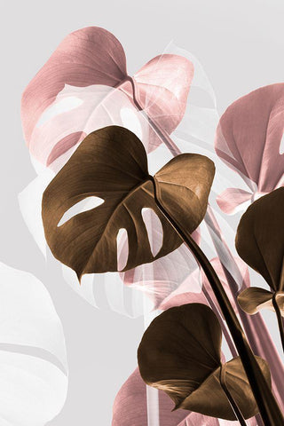 Monstera Creative 11 White Modern Wood Framed Art Print with Double Matting by 1x Studio III