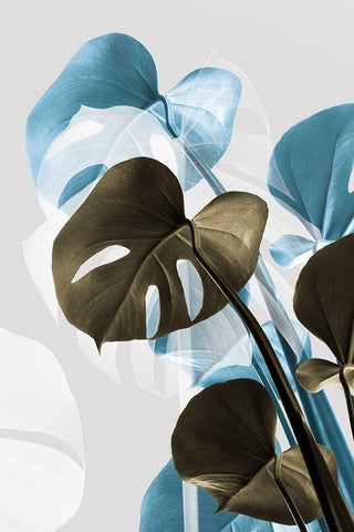 Monstera Creative 13 White Modern Wood Framed Art Print with Double Matting by 1x Studio III