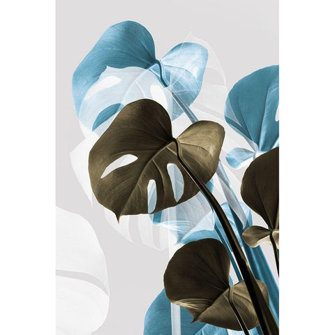 Monstera Creative 13 Black Modern Wood Framed Art Print by 1x Studio III