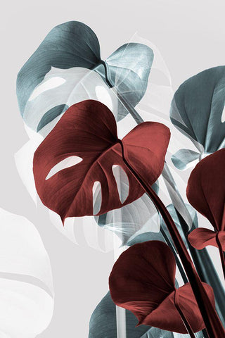 Monstera Creative 15 Black Ornate Wood Framed Art Print with Double Matting by 1x Studio III