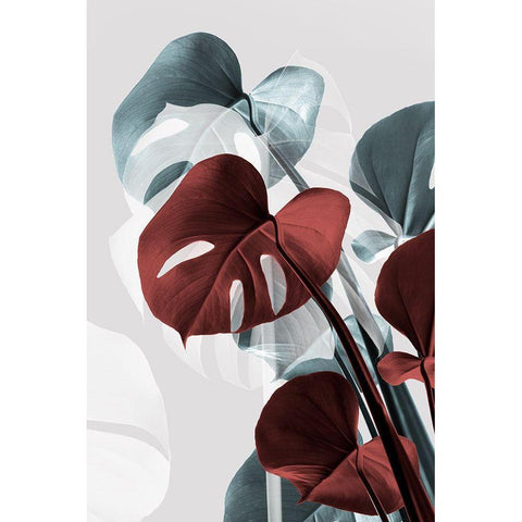 Monstera Creative 15 Black Modern Wood Framed Art Print with Double Matting by 1x Studio III