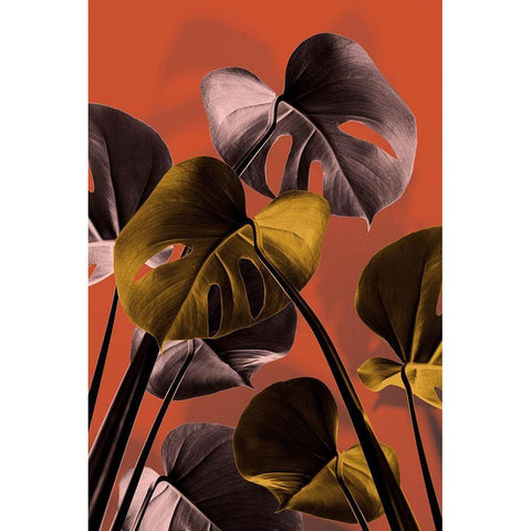 Monstera Orange 01 Black Modern Wood Framed Art Print with Double Matting by 1x Studio III
