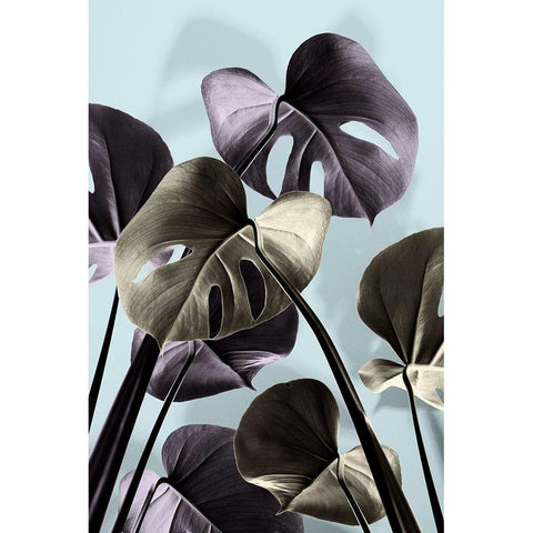 Monstera Blue 01 Black Modern Wood Framed Art Print with Double Matting by 1x Studio III